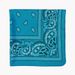 Unisex Polyester 54x54 cashew nut flower amoeba square Hip Hop hop riding bandana sunflower seed flower handkerchief_viptrois.com