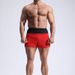 Men's Clothing Summer Thin Running Quick Drying Sports Shorts Fitness Marathon Training Three Point Pants_viptrois.com
