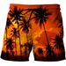 2023 Cross-border Summer New 3D Printed Beach Pants Holiday Sunset Landscape Shorts_viptrois.com