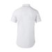Men's Clothing Men's Spring Heart Art Short Sleeve Shirt Chinese Style Plum Blossom Embroidery Cotton Top Ethnic Placket Casual Wear_viptrois.com