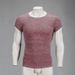 Summer Sports And Fitness Short Sleeved Casual Slim Fit Knitted Sweater, Tight Fitting, Super Elastic, Breathable_viptrois.com