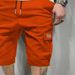 Men's Summer Cross Border Xiyin Beach Shorts Five Point Pants Cargo Style Korean Fit American & European Sizing_viptrois.com