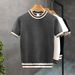 Men's Clothing Summer New Light Mature Men's Tops White Round Neck Striped Spring Short Sleeve Sweater Men's Inner Wear Knitted Sweater_viptrois.com