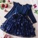Mother Kids Princess Dress Children's Birthday One Year Old Dress_viptrois.com