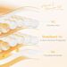 6pcs C Skincare Set, Rich In Vitamin C, Nourishes & Moisturizing All Types, Light Beige Care Kit With Cleanser, Toner,_viptrois.com