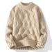 Men's Clothing Solid Color Twisted Sweater Coat Wool Velvet Youth Warm Round Neck Long Sleeve Knitted Bottoming Shirt_viptrois.com