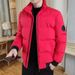 Men's Winter Down Jacket With Hood, Ultra-Warm 550 Fill Power White Goose Down Coat, Long Length Thickened Parka For Cold Weather, Machine Washable_viptrois.com