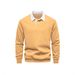 Pure 2025 New Autumn Long Sleeve Polo Collar Trendy European Size Export Men's Sweatshirt Casual Versatile Men_viptrois.com