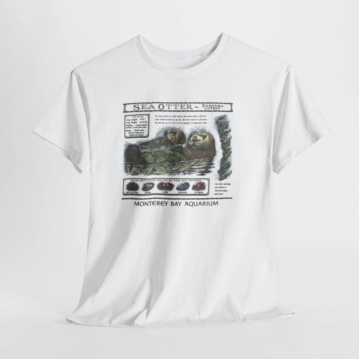 Vintage Sea Otters Monterey Bay Aquarium Shirt_viptrois.com