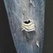 Men's Clothing Ripped Beggar Pants Men's High Street Retro Harem Nine Point Pants Spring And Summer Men's Loose Straight Trendy Jeans_viptrois.com