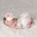 Baby Photography Props Outfit Lace Bowknot Skirt with Flower Headband for Newborn Infant Girls Photo Taking Accessories Supplies_viptrois.com