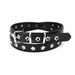 Korean Style Hollow Punk Women's Five-Pointed Star Single Eyelet Versatile Decorative Jeans Belt_viptrois.com