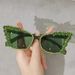 2024 New Cat Eye Fashion Street Photo Color Sunglasses Female_viptrois.com