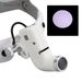 5W LED Head Light Lamp For Binocular Loupes Brighess Spot Adjustable Dental Lab Headlamp Surgical Headlight No Battery_viptrois.com