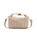 Women's Bags Spring And Summer Small Bag For Women New Style Versatile Messenger Bag Simple Small Fresh Single Shoulder Straw Handbag_viptrois.com