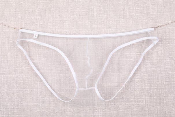 Pulse Comrade Men's Underwear European And American Style See-through Fine Mesh Pouch Low Waist Briefs Plus Size C-034_viptrois.com