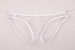 Pulse Comrade Men's Underwear European And American Style See-through Fine Mesh Pouch Low Waist Briefs Plus Size C-034_viptrois.com