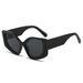 Oversized Cat Eye Sunglasses - UV400 Protection (Fashion PC Frame, European-American Wide Leg Style)_viptrois.com