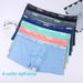 Pulse US Cross-Border Ice Silk Underwear Plus Loose Extra Large Big Size Men's Boxer Briefs European And American Trade Pants_viptrois.com