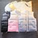 Unisex Stand Collar Vest – Gradient Print Winter Layering Essential (M-5XL, 3 Trendy Colors For Couples & Streetwear)_viptrois.com