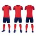 Men's Clothing Fast wholesale cross-border summer new competition training team appearance running clothes printing football suit suit group purchase_viptrois.com