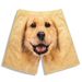 Men's Clothing Golden Retriever Shorts Funny Men's Beach Pants Cartoon Printing Breathable Home Wear Fashion Couple Dog Head Shorts Trendy_viptrois.com