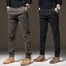 Men's Clothing Autumn Medium Thick Casual Pants Business Slim Straight Leg Elastic Trousers_viptrois.com