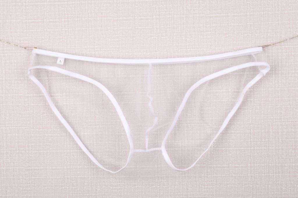 Pulse Comrade Men's Underwear Export European And American Style See-through Fine Mesh Pouch Low Waist Briefs Plus Size C-034_viptrois.com