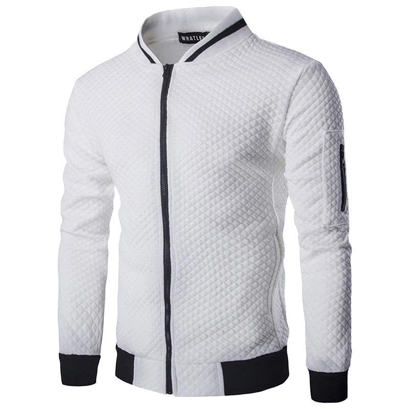 2023 Sports Korean Style Zipper Youth Solid Color Cardigan Stand Collar Casual Wear Men's Versatile_viptrois.com