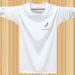 Thick Long Sleeve Men Spring Autumn New Round Neck Base Shirt Jacket T-Shirt Pure Cotton Men's Clothing Plus Size For_viptrois.com
