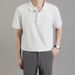 Trendy Hong Kong Style Lapelpolo Men's Short Sleeve Casual Loose Fit Summer Thin Solid Color Knitted Topt Base Layer Top_viptrois.com