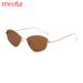 Personalized Metal Cat Eye Frame Sunglasses Hot Sale Trendy Party Ins Style Sunglasses_viptrois.com