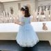 Girls Elsa Princess Dress 2024 Summer New Girls Dress Elsa Princess Mesh Children's Day Performance Skirt Trendy_viptrois.com