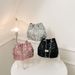 Women's Bags This Year's Popular Niche Design Sequined Bags New Women's Bags Personalized Chain Messenger Bag Shoulder Bucket Bag_viptrois.com