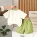 2025 New Summer Children's Short Sleeved Boys' Stylish Mathematics Giraffe Top And Shorts Two Piece Set, Trendy_viptrois.com