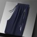 Men's Clothing Quick Drying Pants Men's Large Size Ice Silk Shorts Ice Silk Quick Drying Shorts_viptrois.com