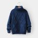 Mother & Kids 2024 New Children's Turtleneck Chunky Fall/Winter Jumper With Extra Pile For Kids_viptrois.com