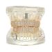Real Gold Plated 10 Teeth Micro Paved Full Dia HIPHOP Bracelet Halloween Hip Hop Accessories_viptrois.com