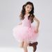 Kids Clothing One Piece Ballet Princess Skirt Dance Practice Clothes Performance Clothes Gauze Skirt Dance Costume_viptrois.com