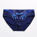 Man's clothing Men's printed adult Men's swimming trunks Trunks Trunks Beach pants Breathable_viptrois.com
