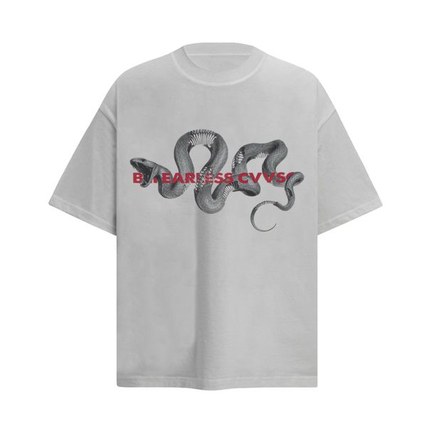 Men's Clothing Men's Clothing 2025 Summer American Street Fashion Brand Tee Culture Shirt Dark Series Python Print T Shirt Short Sleeve_viptrois.com