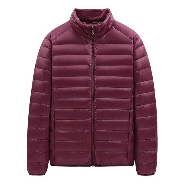 Men's Lightweight Down Jacket, Short Puffer Coat With Stand Collar, 50% White Duck Down, 600 Fill Power, Slim Fit, Windproof Winter Casual Outerwear_viptrois.com