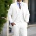 Men's Clothing Business Casual Men's Three Piece Suit Groom Suit Men Wedding Banquet Large Size_viptrois.com