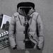 Doudoune Capuche En Duvet De Canard Blanc Pour Homme Pardessus Chaud Parka Thermique Manteau D Contract Haute_viptrois.com