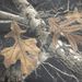 Autumn Winter New Trendy Brand Fleece Hoodie Full Print Tree Branch Camouflage Hooded_viptrois.com