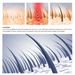 South Moon Anti-Lose Thick Hair Essence Hair Care Nutrient Solution Massage Repair Root Thick Hair Essence_viptrois.com