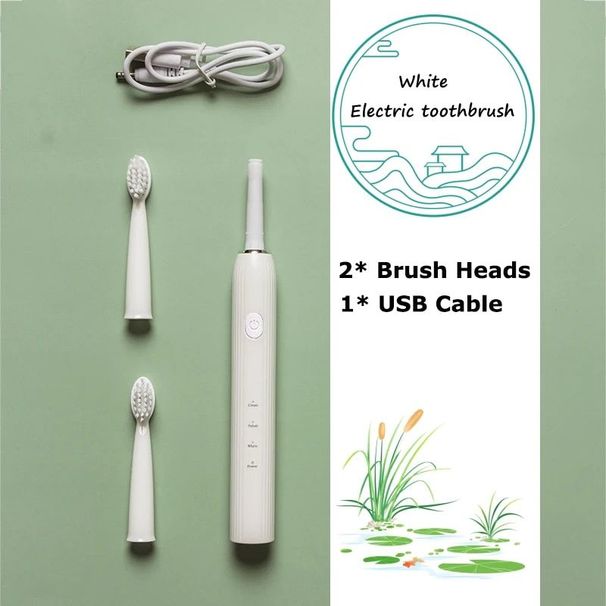 USB Sonic Electric Soft Bristle Smart Timer 3 Gears Replacement Brush Head Set Oral Clean Whiten Toothbrush_viptrois.com