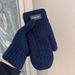 Sports Gloves Skiing Cycling Motorcycle Hiking Touch Screen Gloves Men's Fleece-thickened Warm Gloves Windproof Wool Knit Double Layer_viptrois.com
