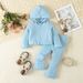 Mother&Kids Children's Suit Baby Long Sleeve Pants Two-piece Girls Hooded Pit Strip Clothing Trend_viptrois.com