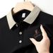 Men's Wrinkle-Free Embroidered Polo Shirt – Business Casual Long Sleeve Top For Dads & Professionals (M-4XL, 5 Classic Colors)_viptrois.com